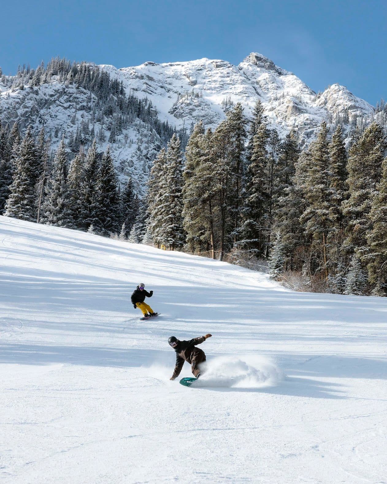 Mount Norquay photo 10