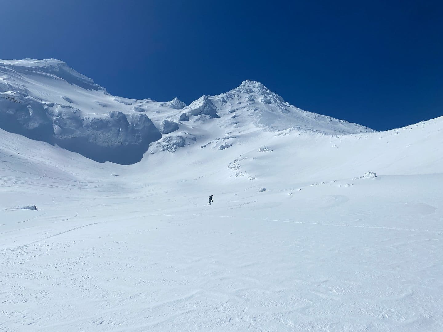 Tūroa photo 5