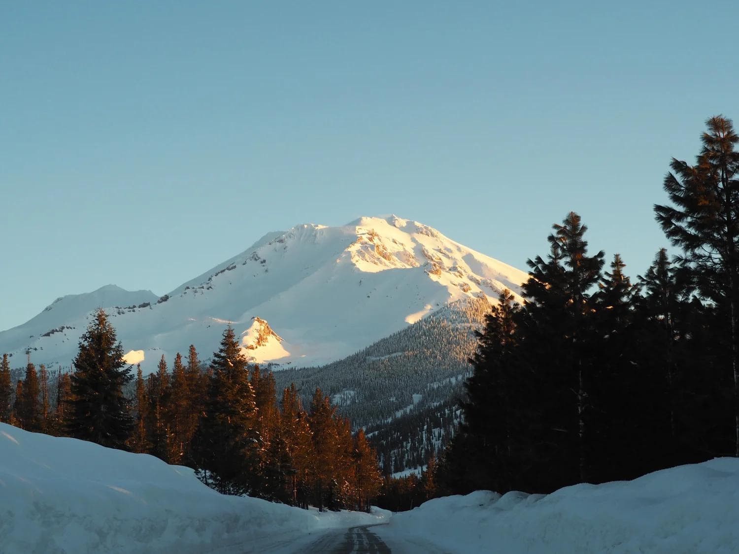 Mt Shasta Ski Park photo 7