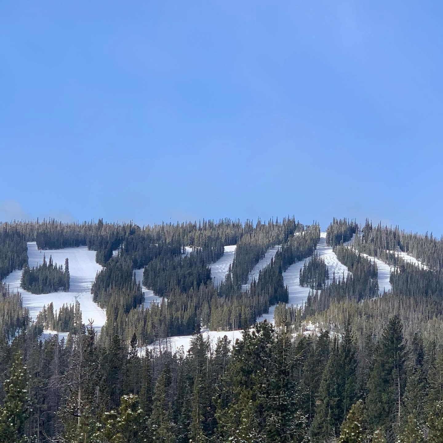 Snowy Range Ski Area photo 3