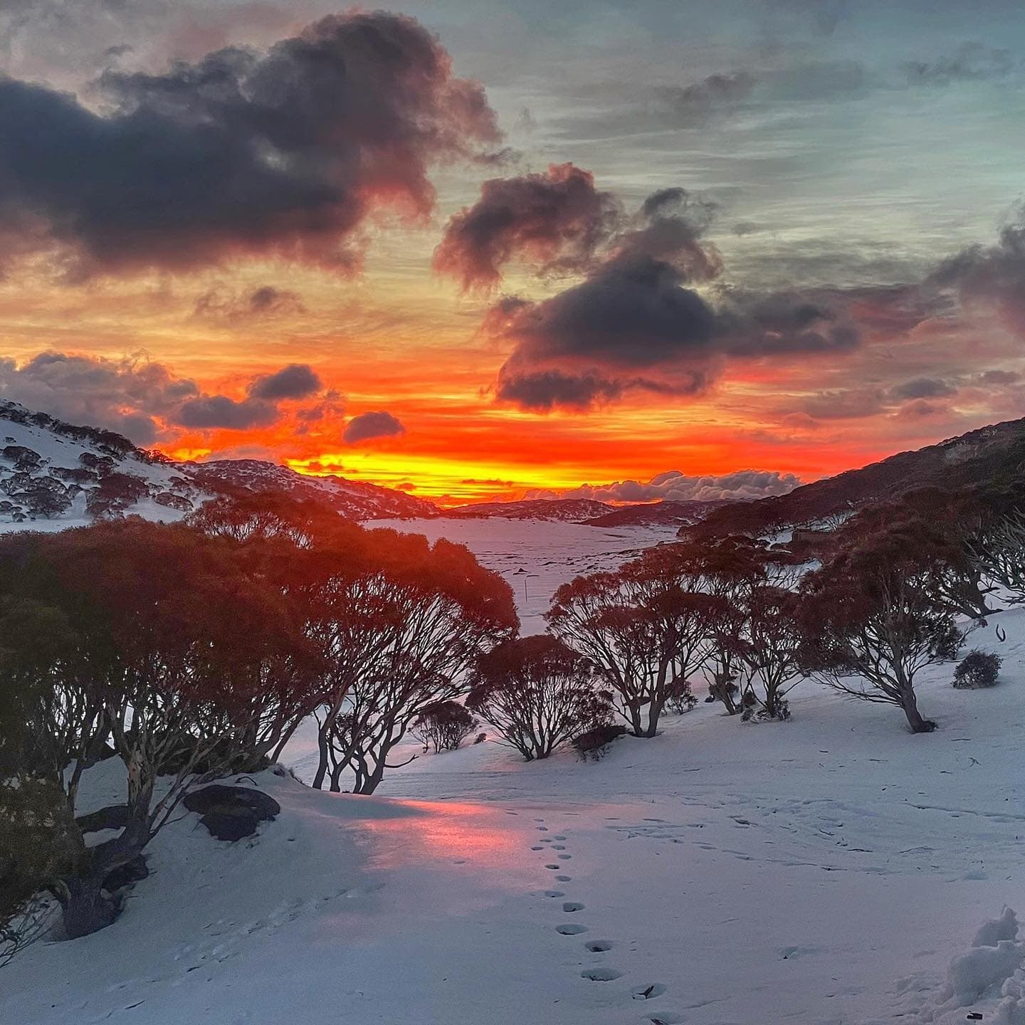 Charlotte Pass photo 5