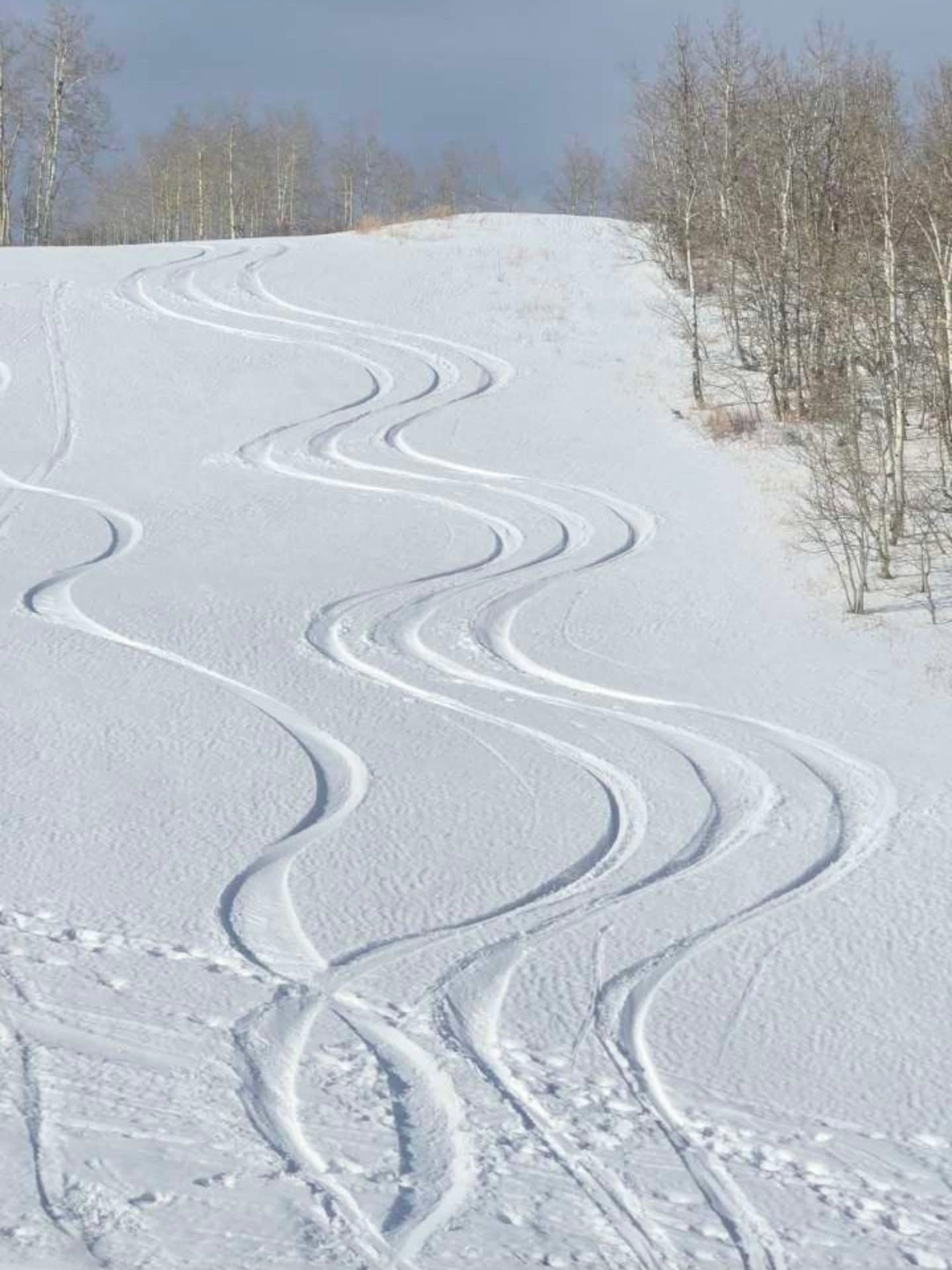 Pomerelle Mountain Resort photo 4