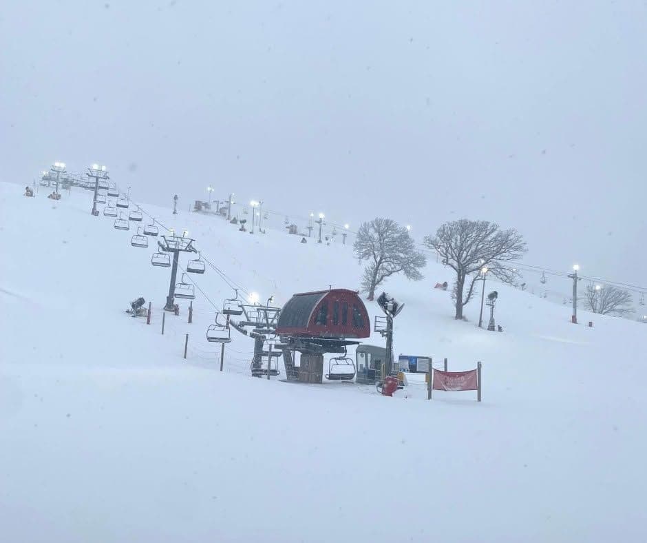 Wilmot photo 3