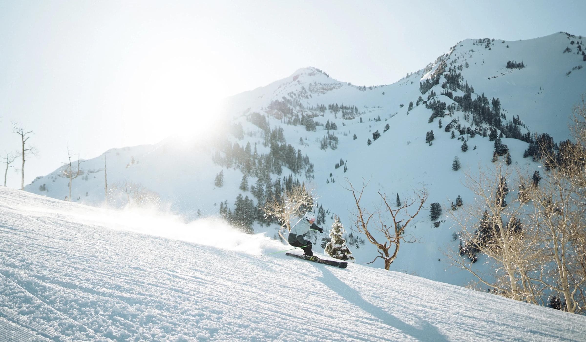 Sundance photo 2