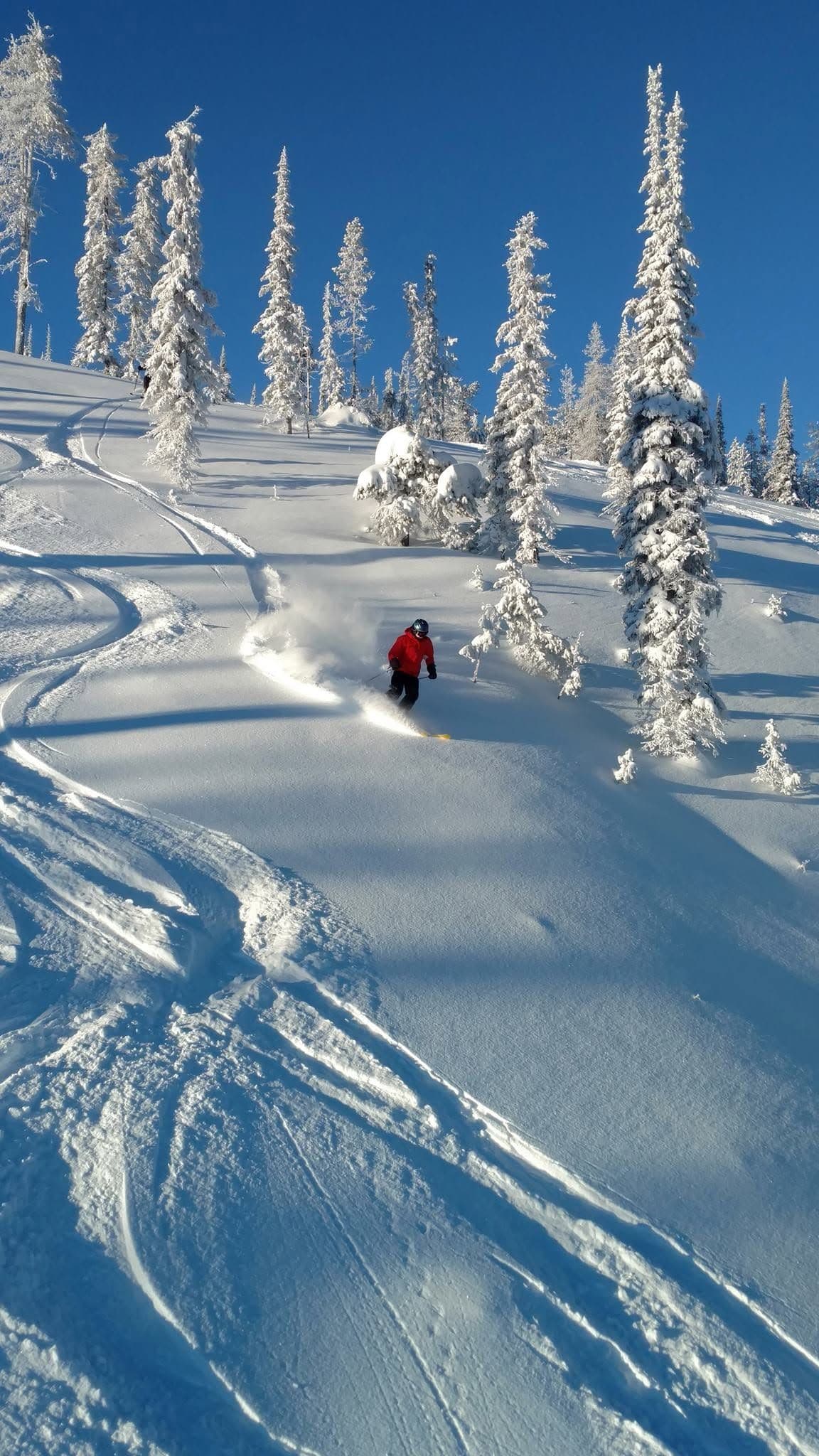 Blacktail Mountain Ski Area photo 5
