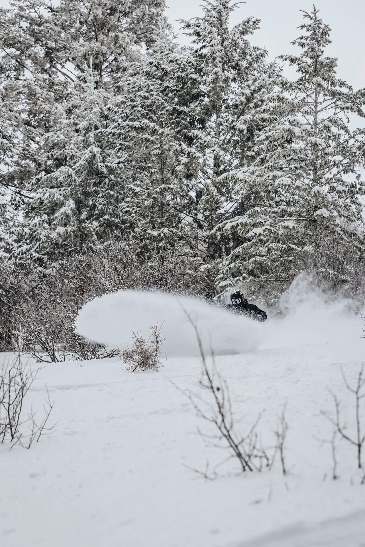 Kelly Canyon Ski Resort photo 5