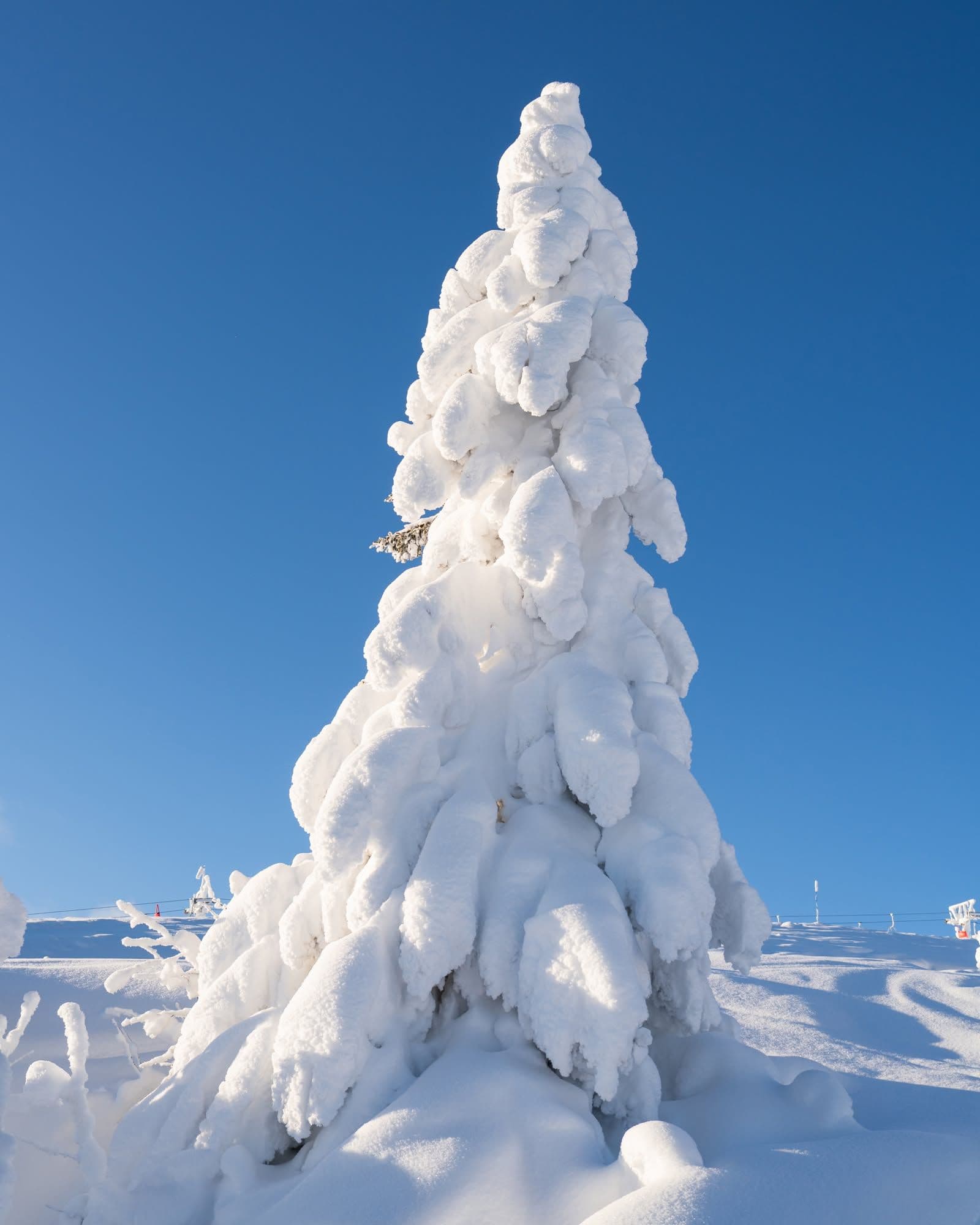 Norefjell photo 7