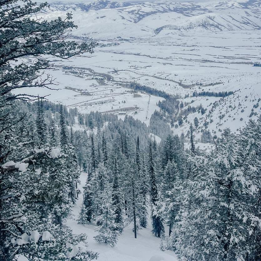 Pebble Creek Ski Area photo 2