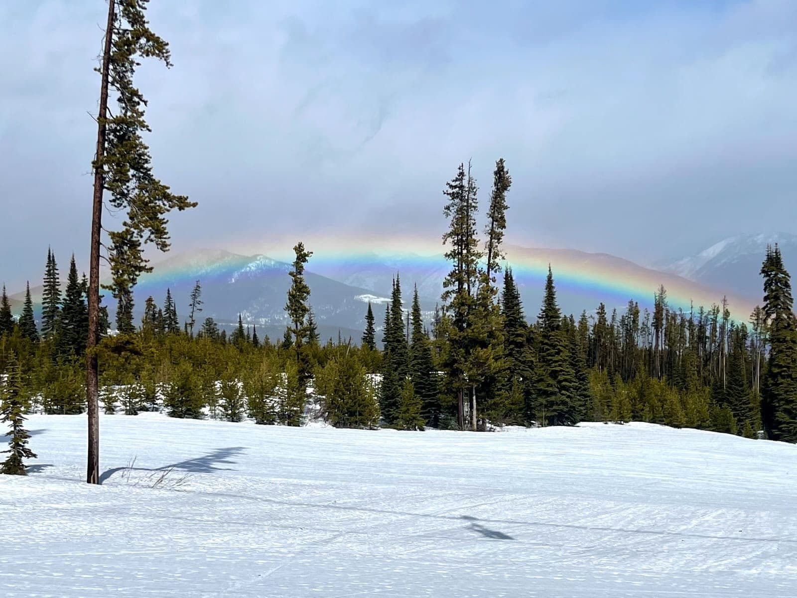 Kimberley Alpine Resort photo 8