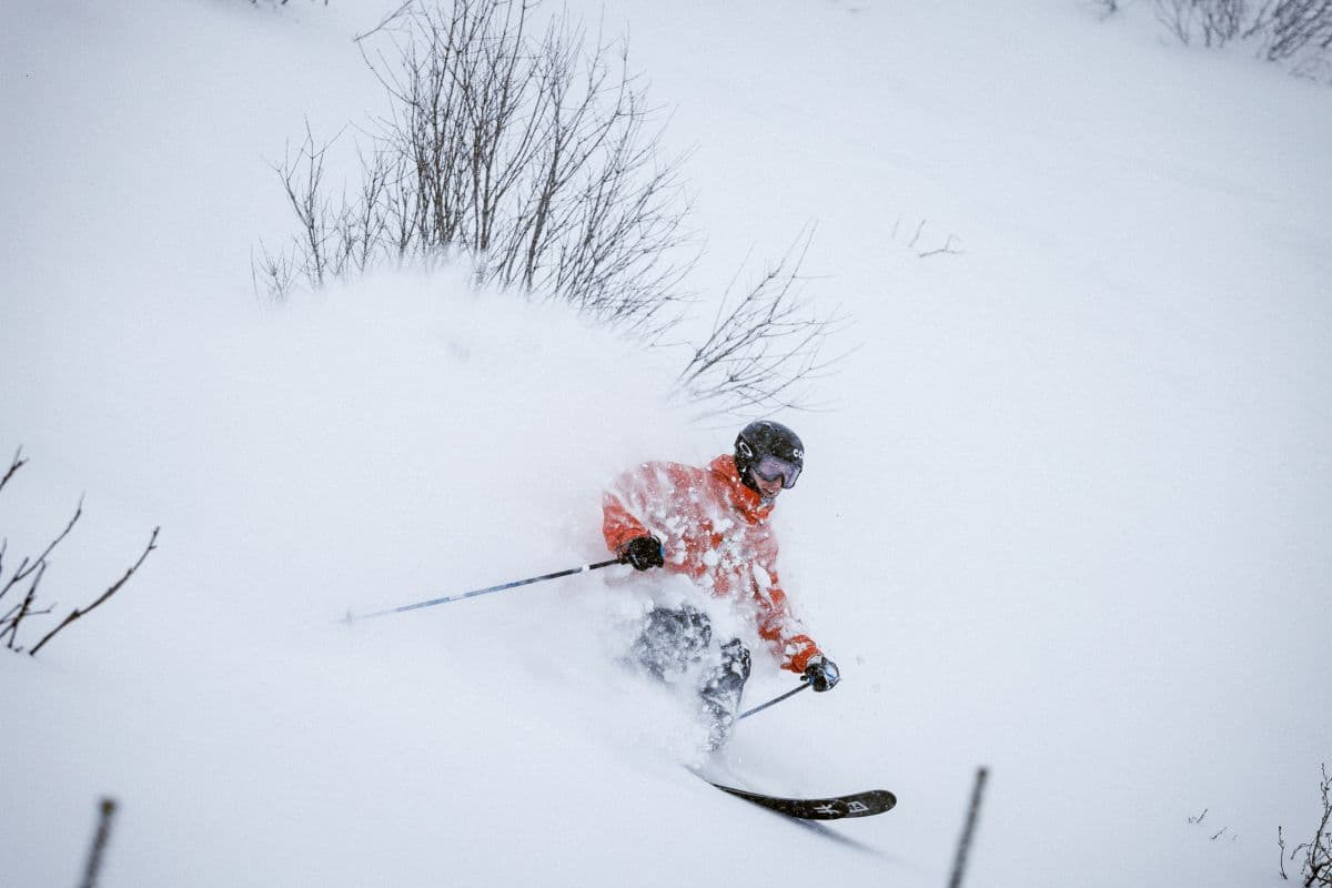 Fernie Alpine Resort photo 3