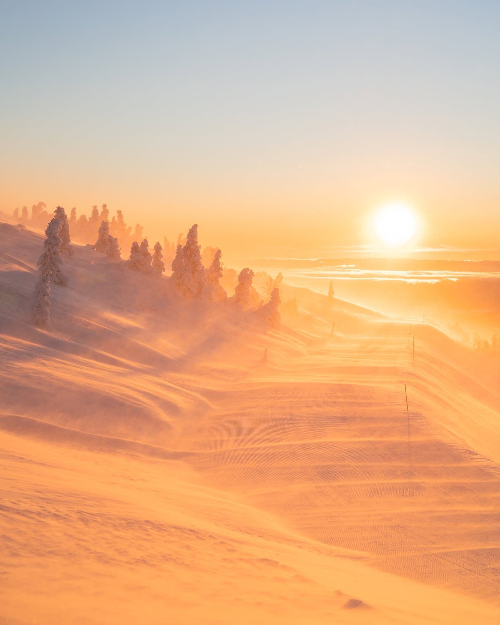 Norefjell photo 4