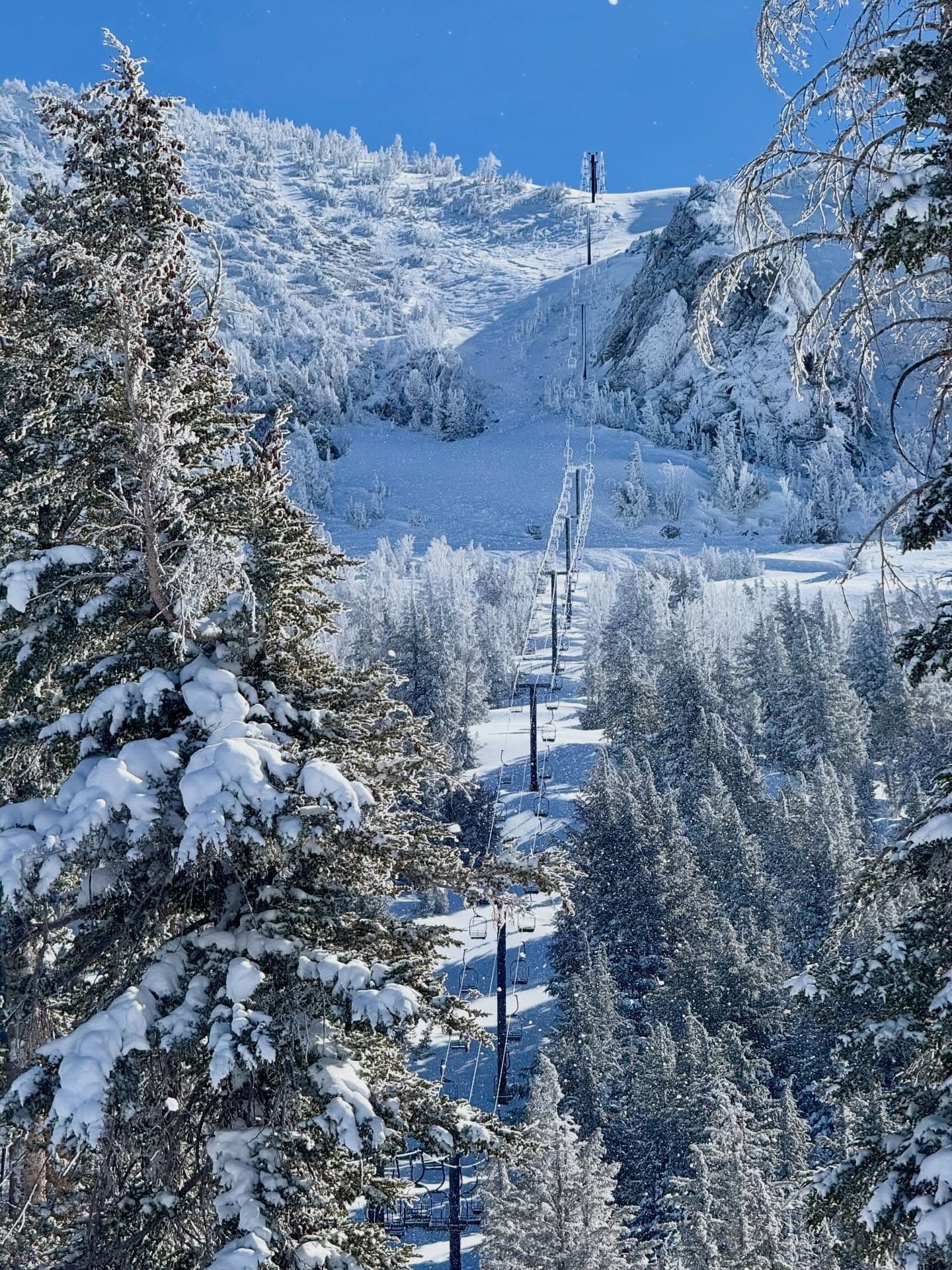 Mammoth Mountain photo 9