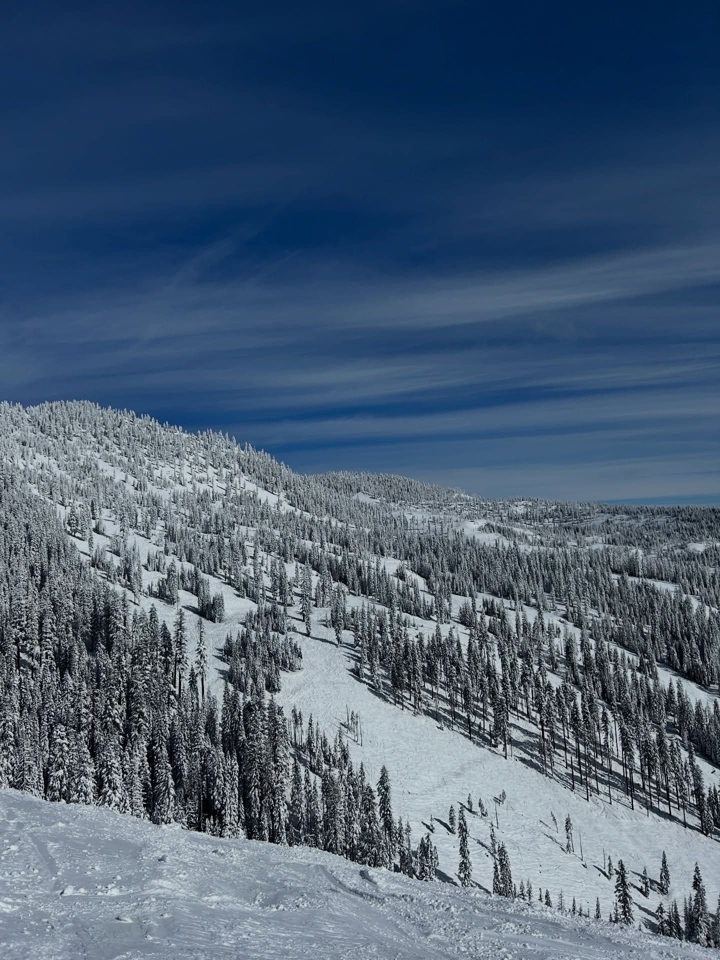 Mt Shasta Ski Park photo 4