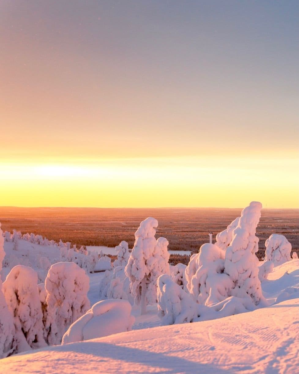 Ruka photo 4