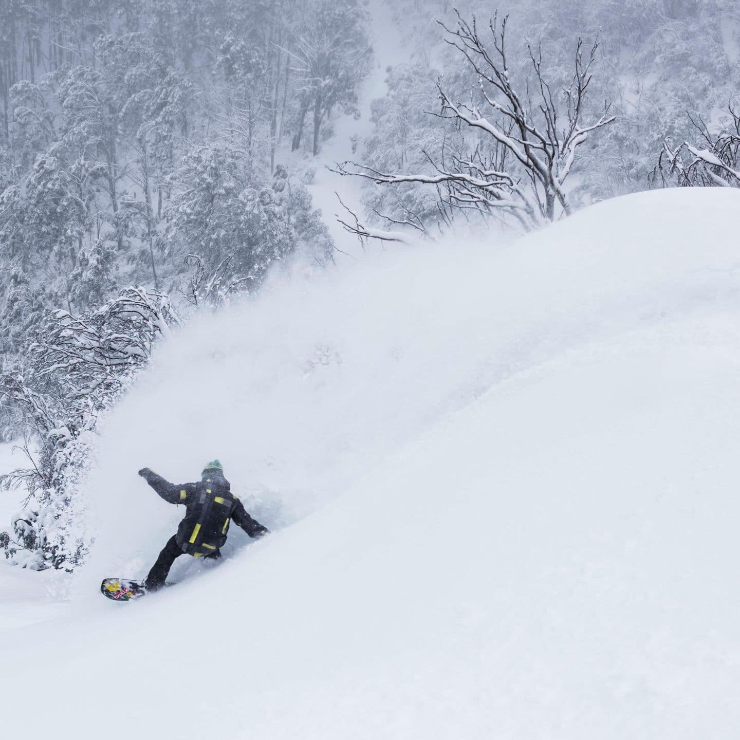 Mt Buller photo 10