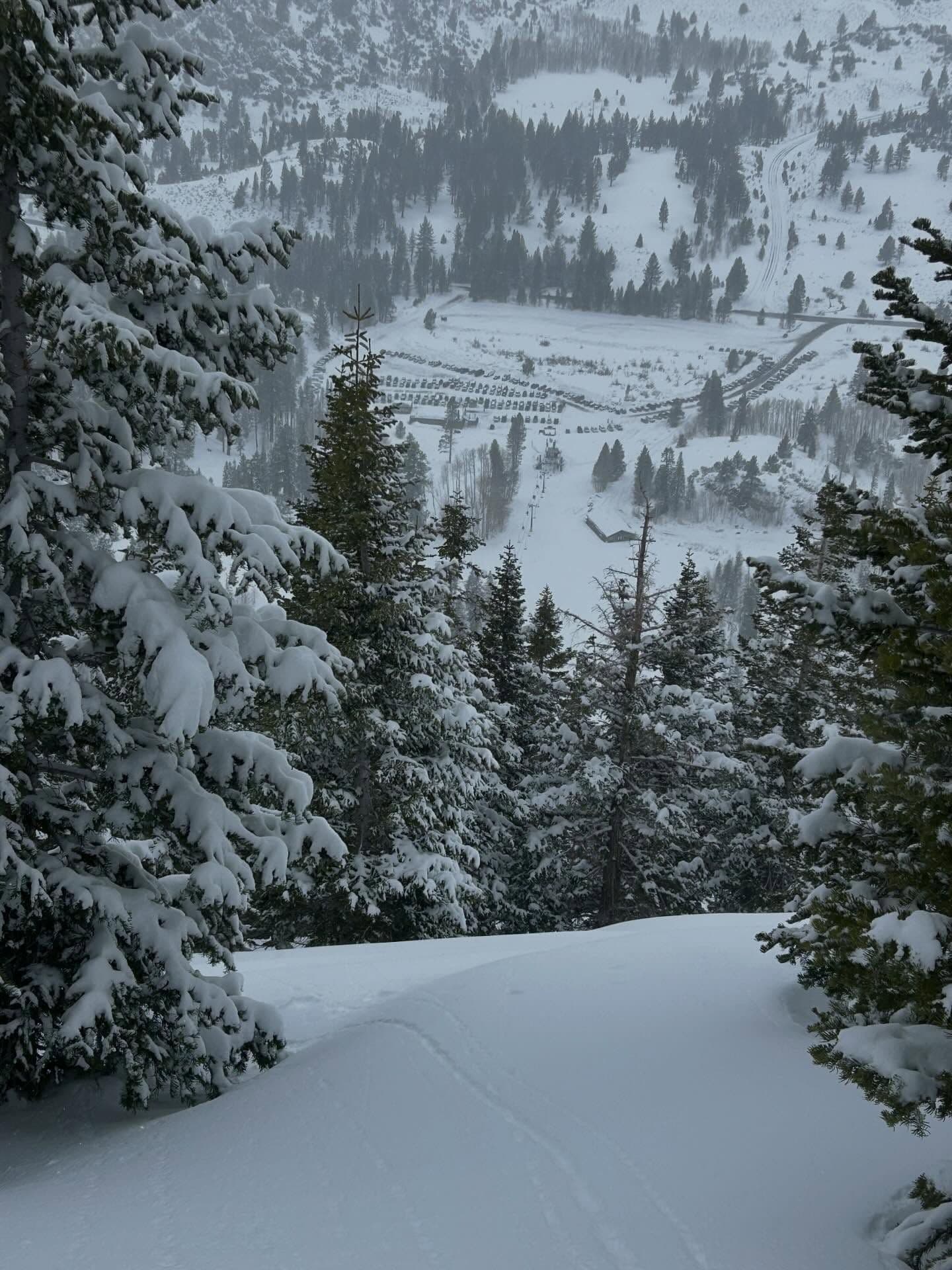 June Mountain photo 4