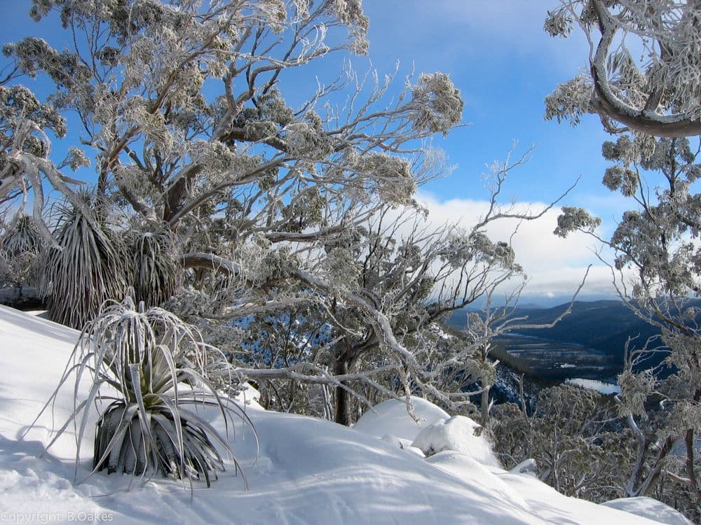 Mt Mawson photo 2