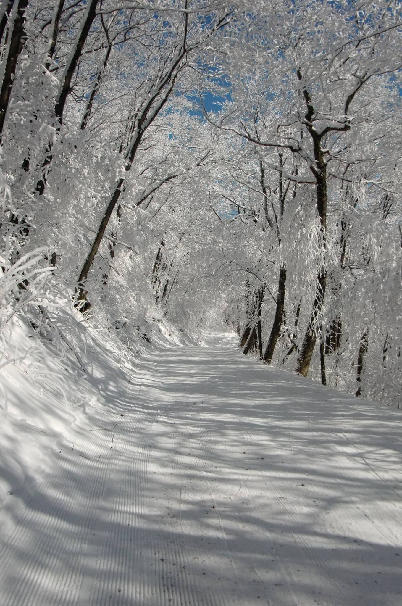 Elk Mountain photo 5
