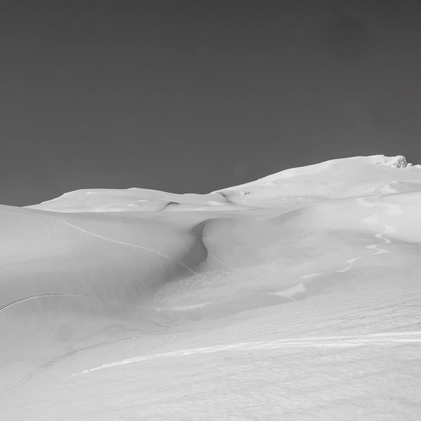 Tūroa photo 9