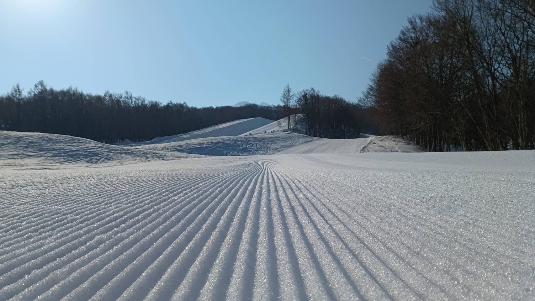 Aomori Spring photo 6