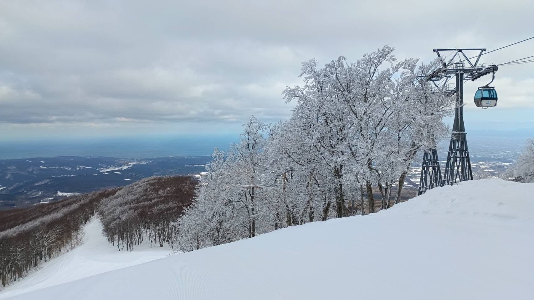 Aomori Spring photo 5