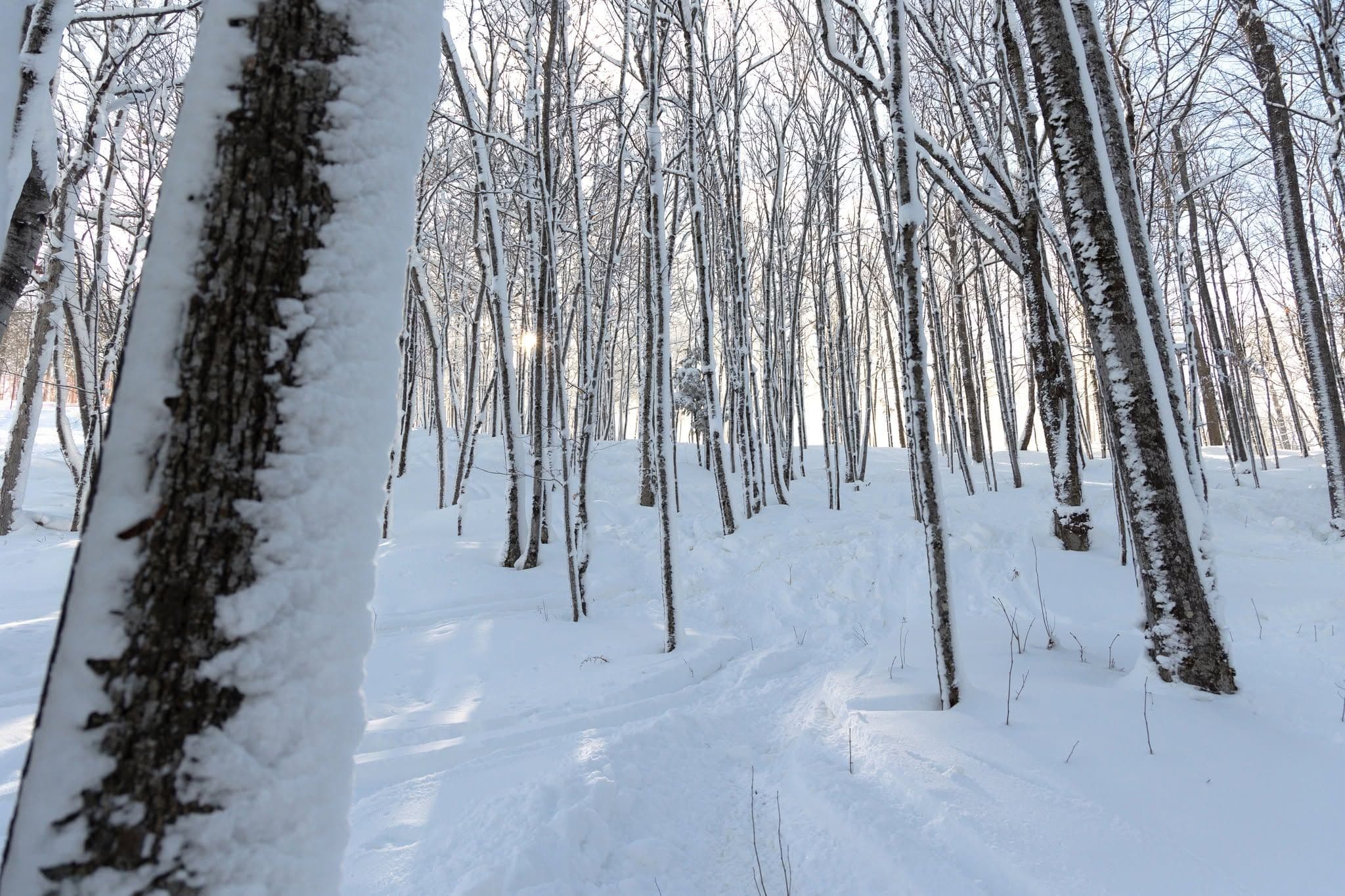 Snowriver Mountain Resort photo 8