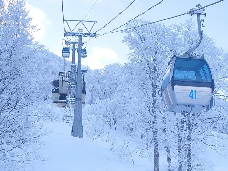 Aomori Spring photo 2