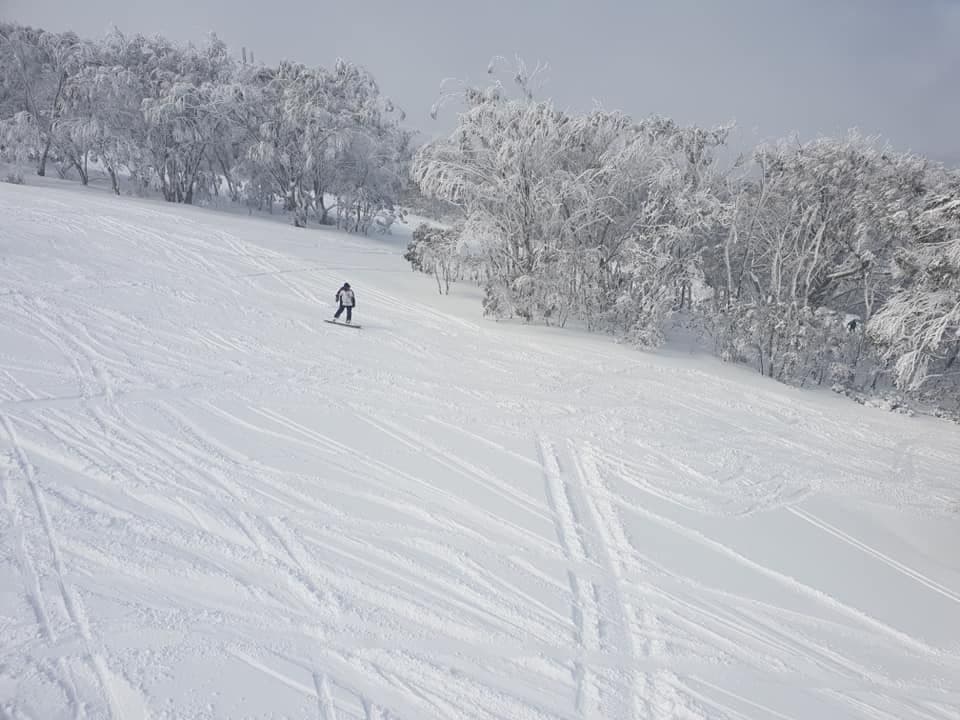 Selwyn photo 6