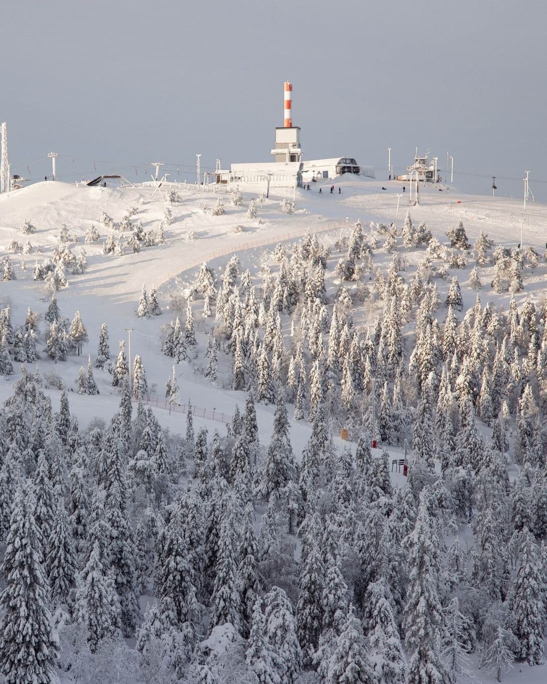 Ruka photo 2