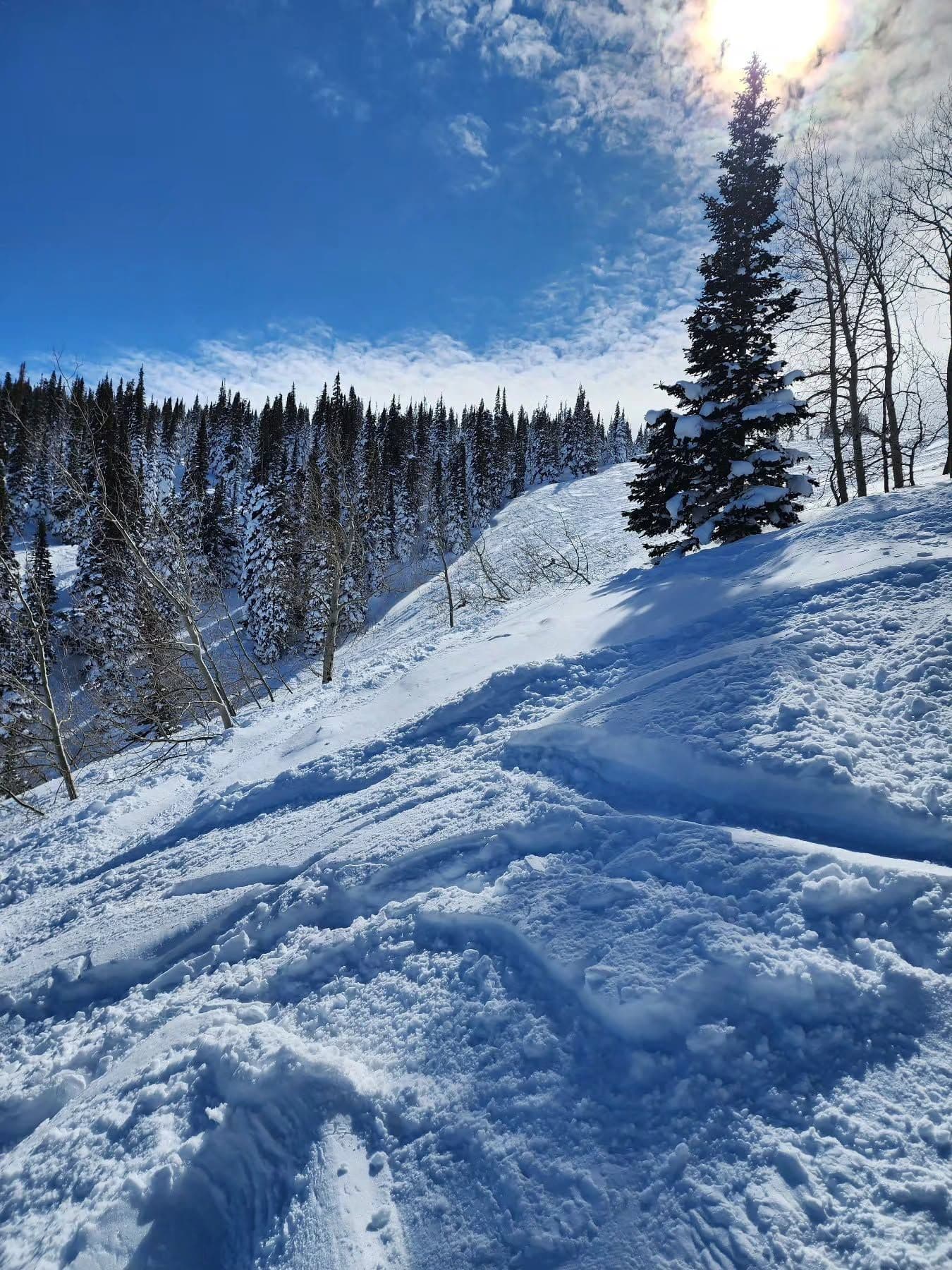 Pomerelle Mountain Resort photo 5