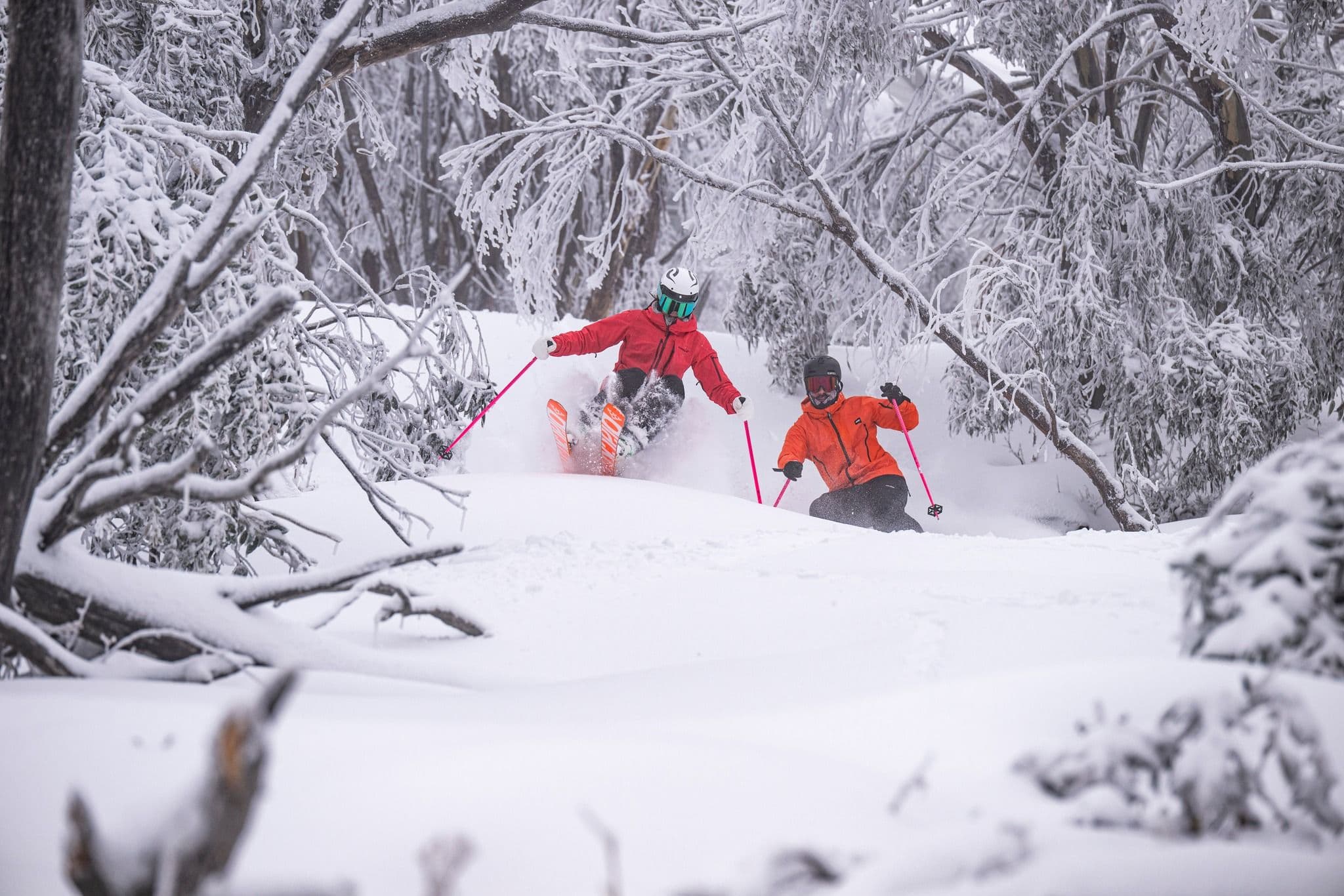 Mt Buller photo 8
