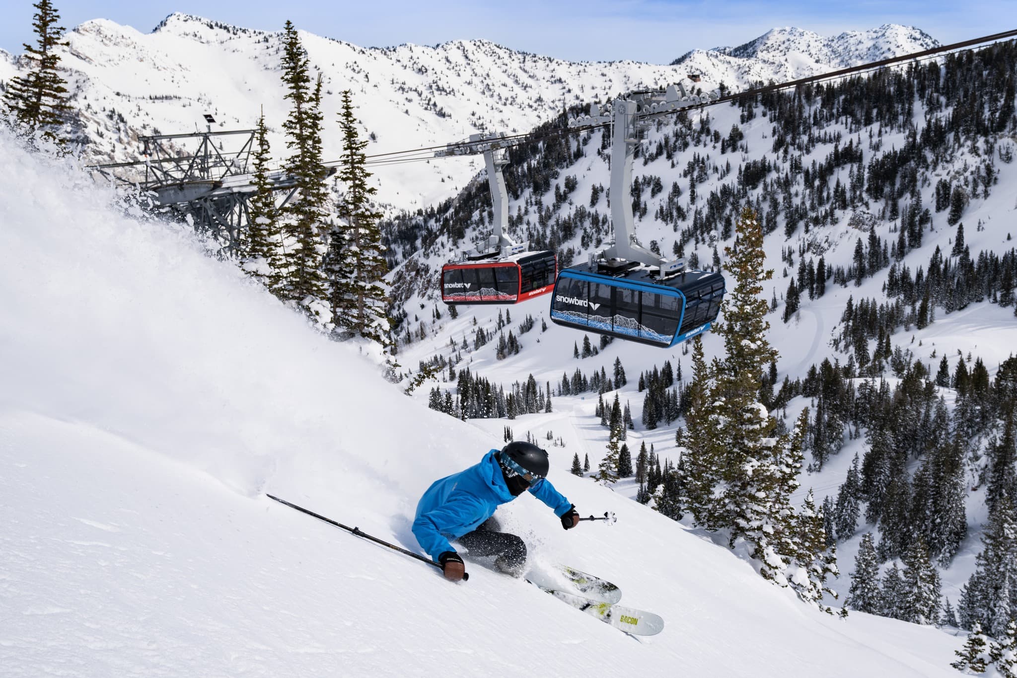 Snowbird ski resort