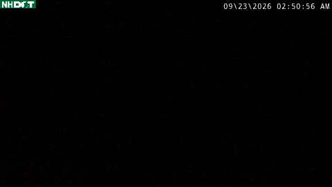 101 W MM 23.7 - RWIS road camera