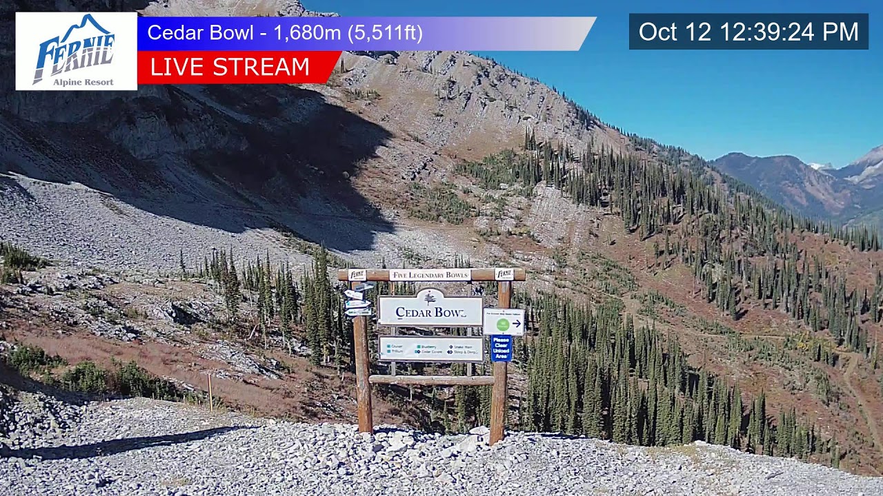 Fernie Alpine Resort webcam — Cedar Bowl