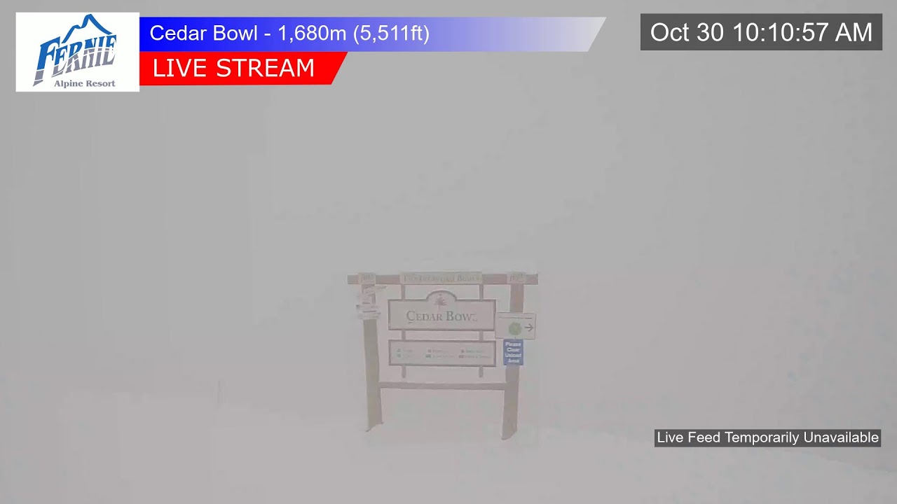 Cedar Bowl