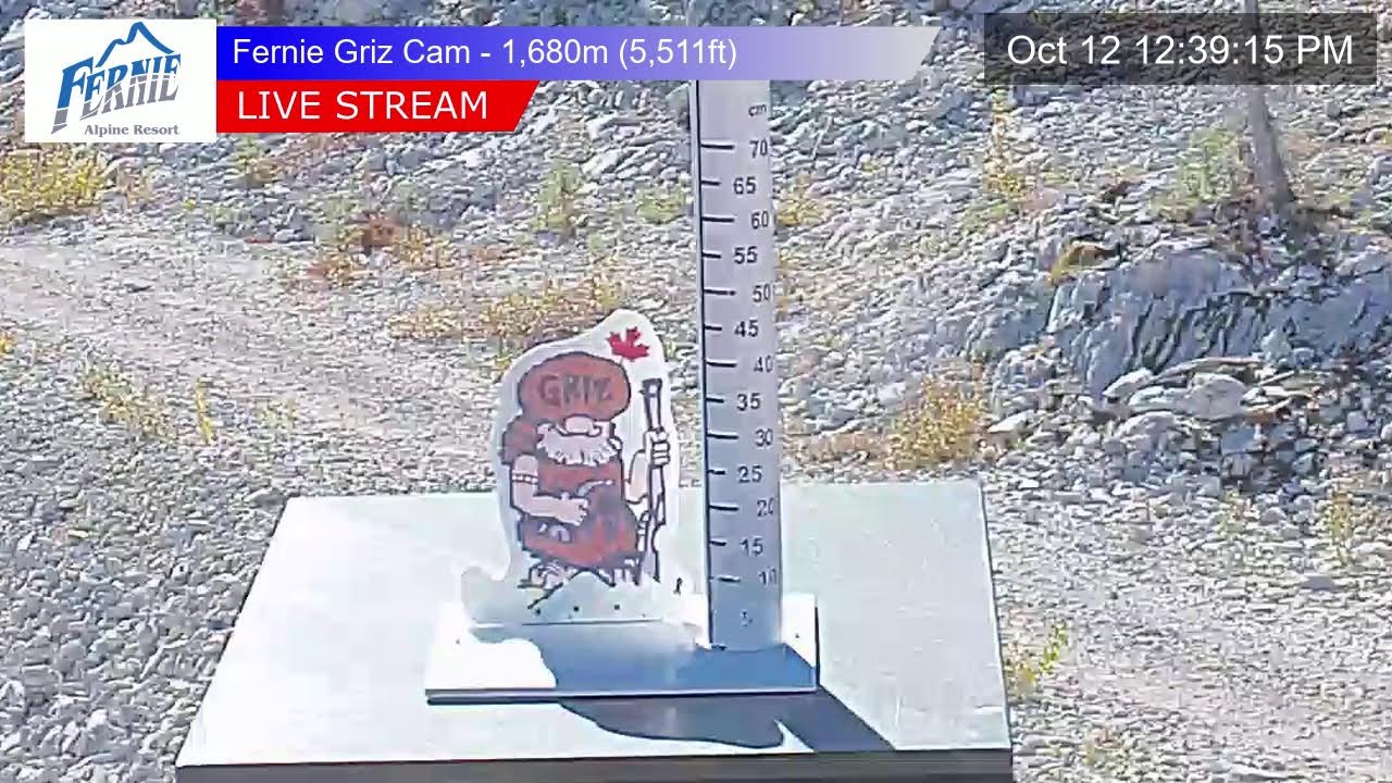 Fernie Alpine Resort webcam — Griz Cam