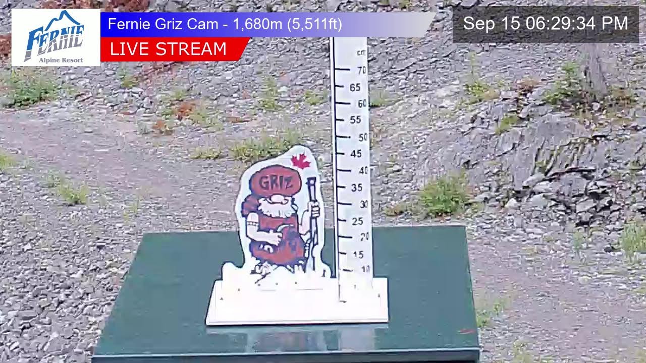 Griz Cam