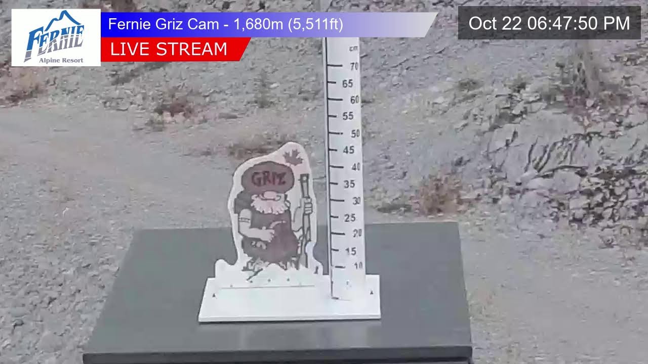 Griz Cam
