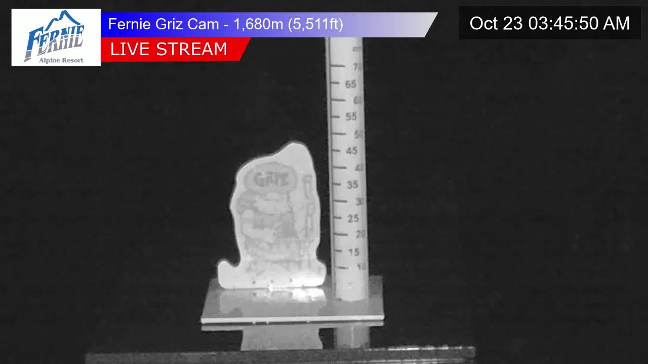 Griz Cam