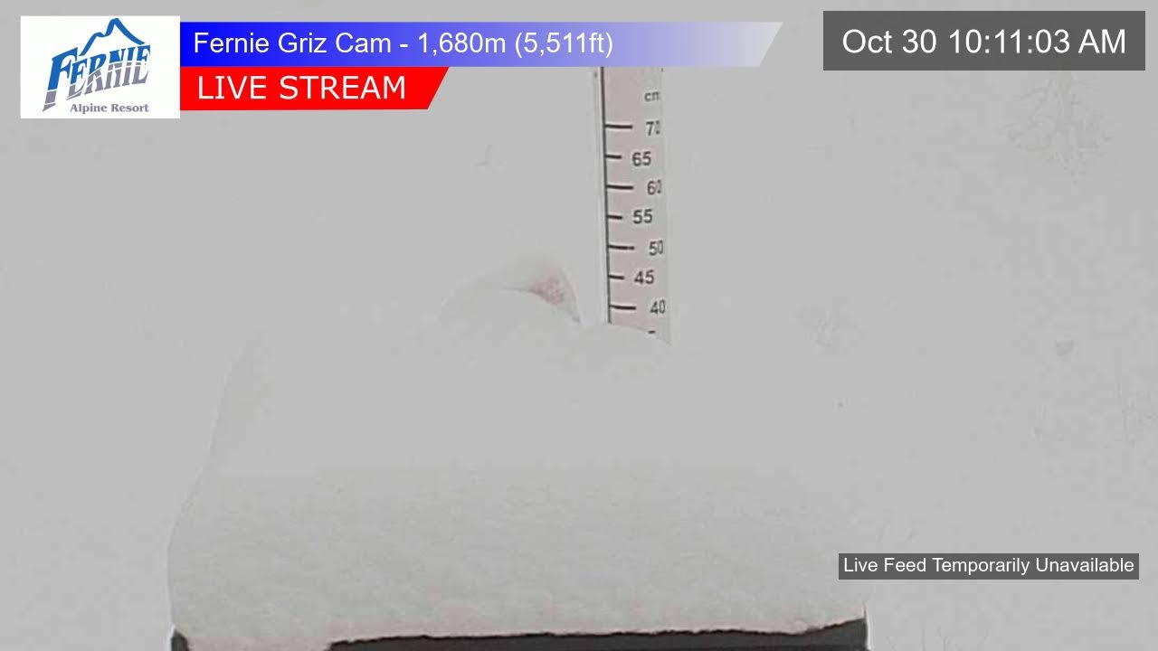 Griz Cam