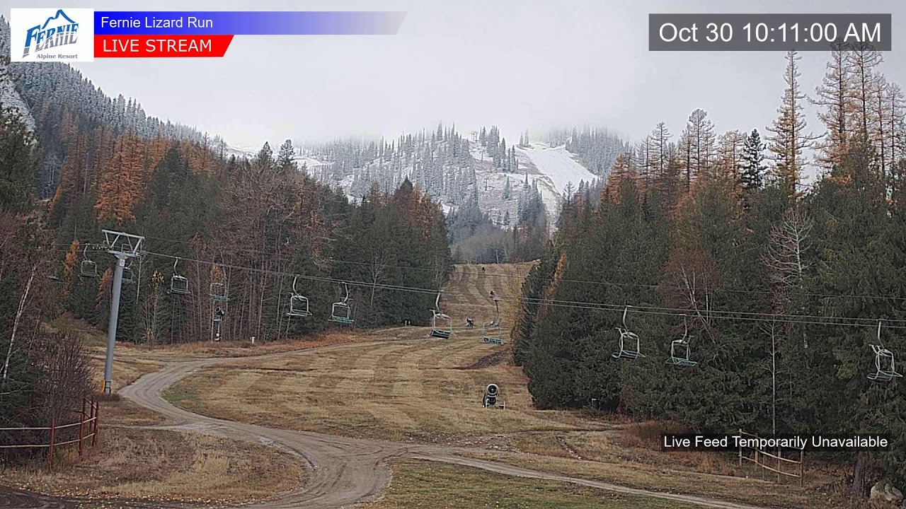 Fernie Alpine Resort webcam — Lizard Run