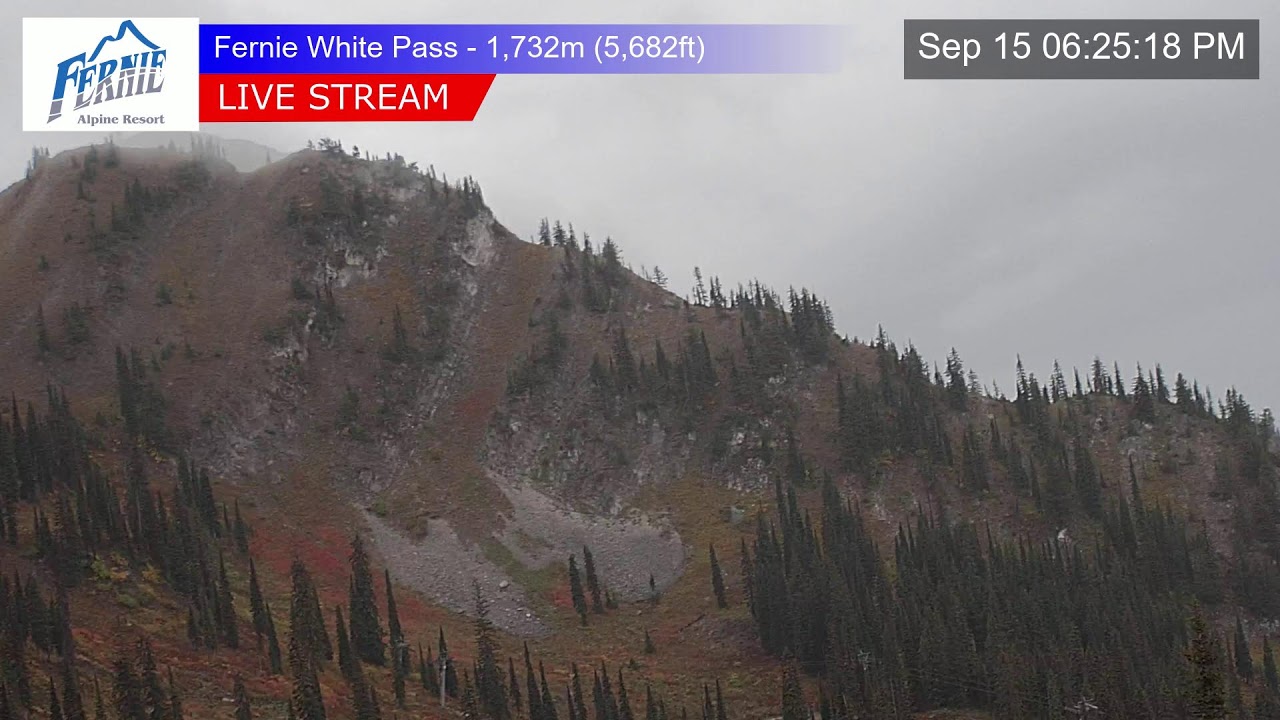 White Pass Chair