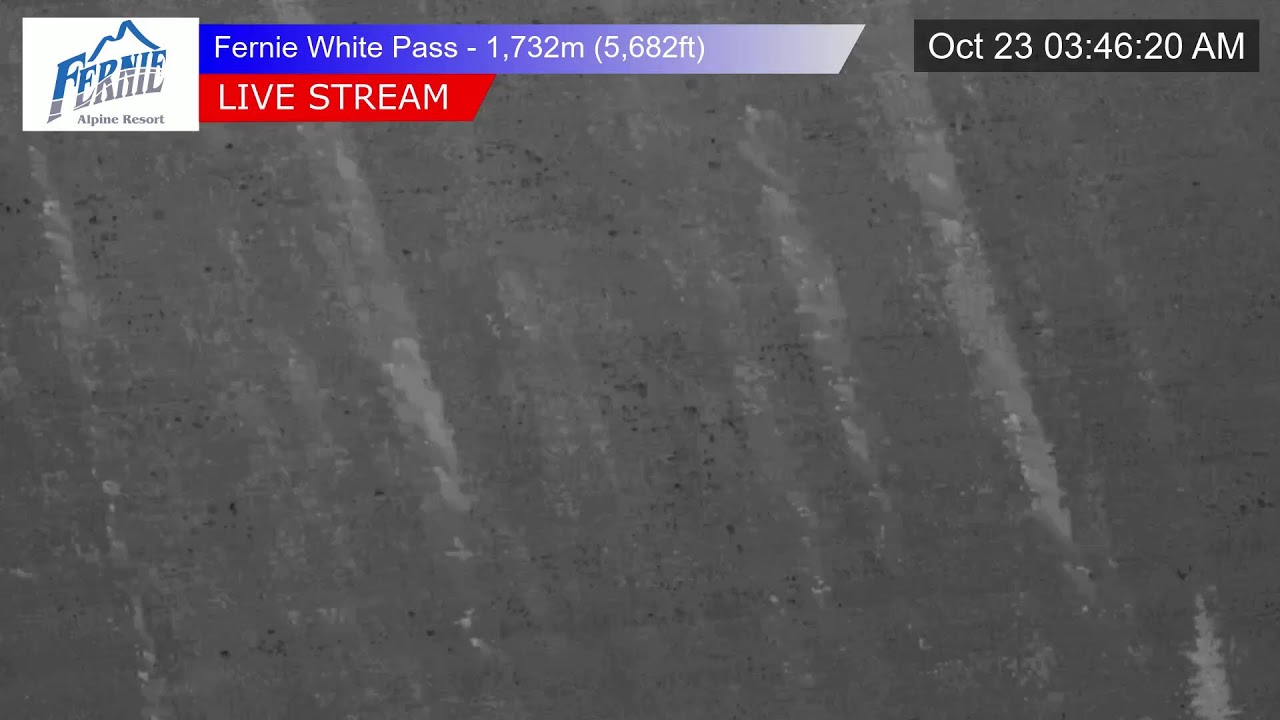 White Pass Chair