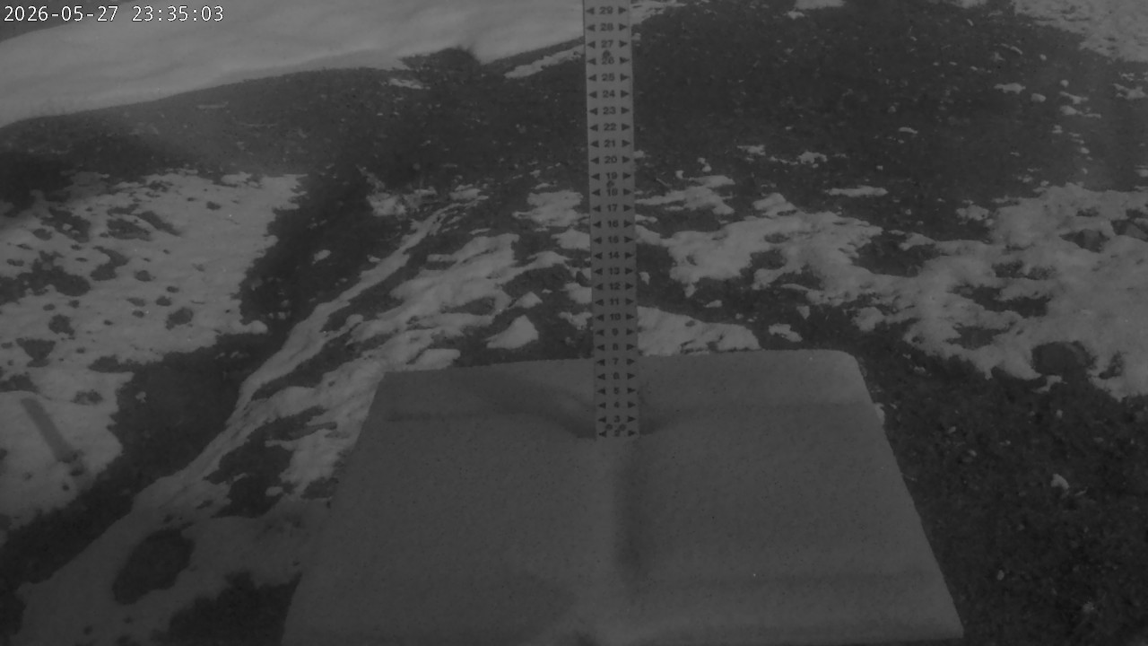 Snow Stake