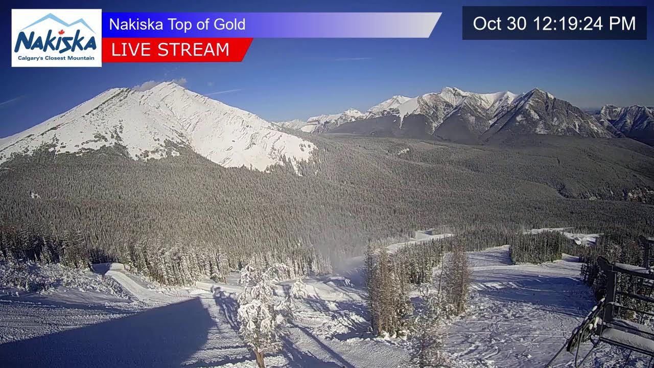 Top Gold Chair Express