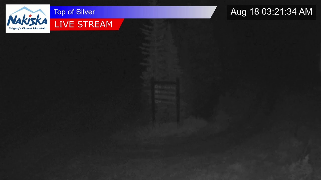 Top of Silver Chair